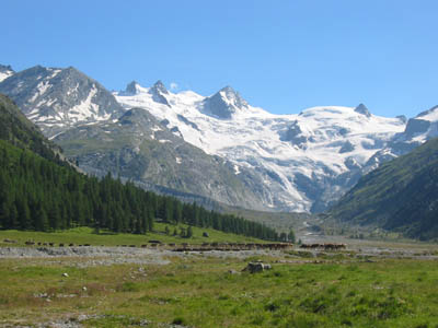 Piz Bernina