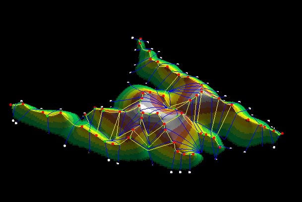 Computer Generated Model of a Surface Network